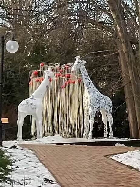 Юрий очень грамотный гид, повозил, поводил, очень много красот показал, вкусно накормил! Остались очень довольны, спасибо большое!!!!