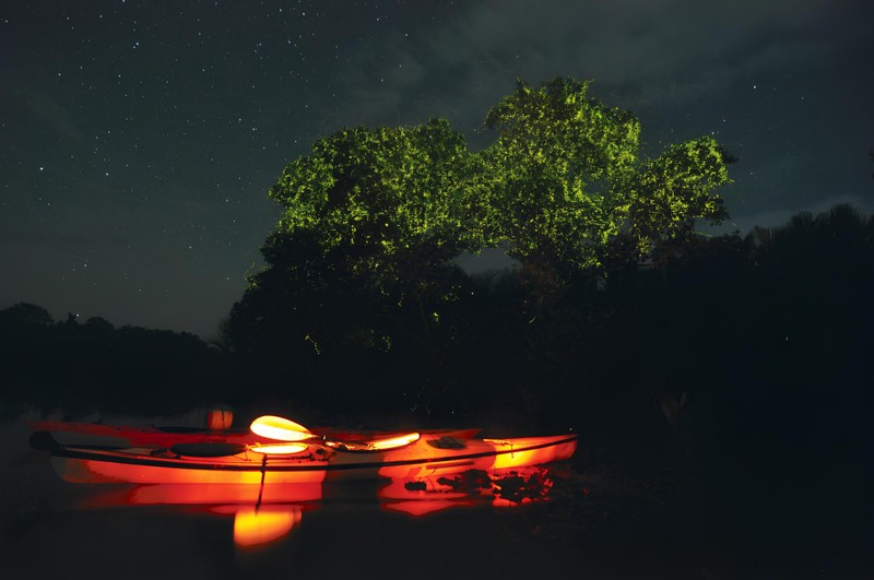 Волшебный Бохол: вечернее сафари за светлячками