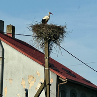 Фото отзыва 5: экскурсия "Балтийск и Балтийская коса: автобусная экскурсия"