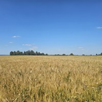 Фото отзыва 2: экскурсия "Шихан Торатау и Стерлитамак за один день"