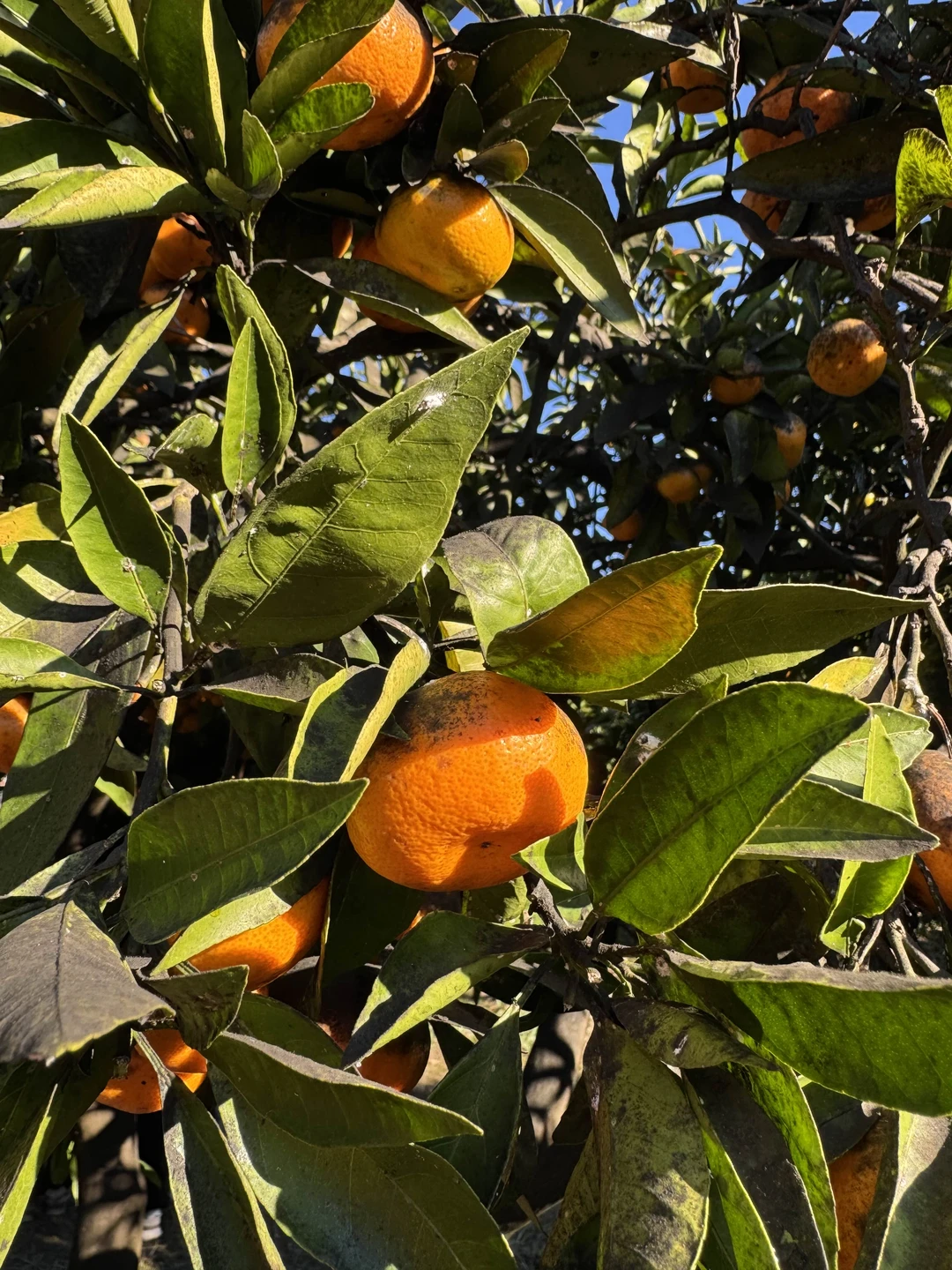 Все очень понравилось. Спасибо гиду Линде и нашему водителю. Несмотря на массу информации, давали время прогуляться
