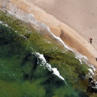 Побережье Каспийского моря: куда поехать на&nbsp;отдых