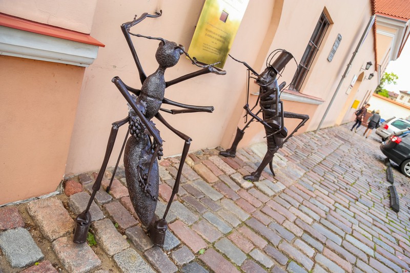 Знакомьтесь, Каунас