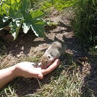 Фото путешественника — 3