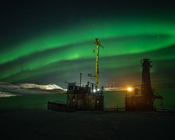 Морская прогулка в поиске китов, дельфинов и косаток