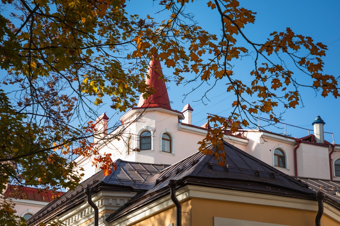 Однодневная экскурсия из Петербурга в Выборг на автобусе (Татьяна)