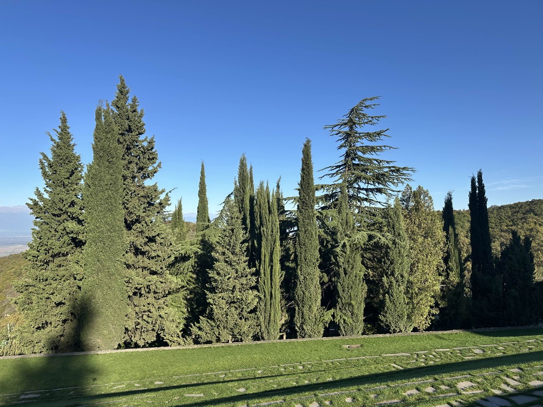 Кахетия от К до Я (Ахметов)