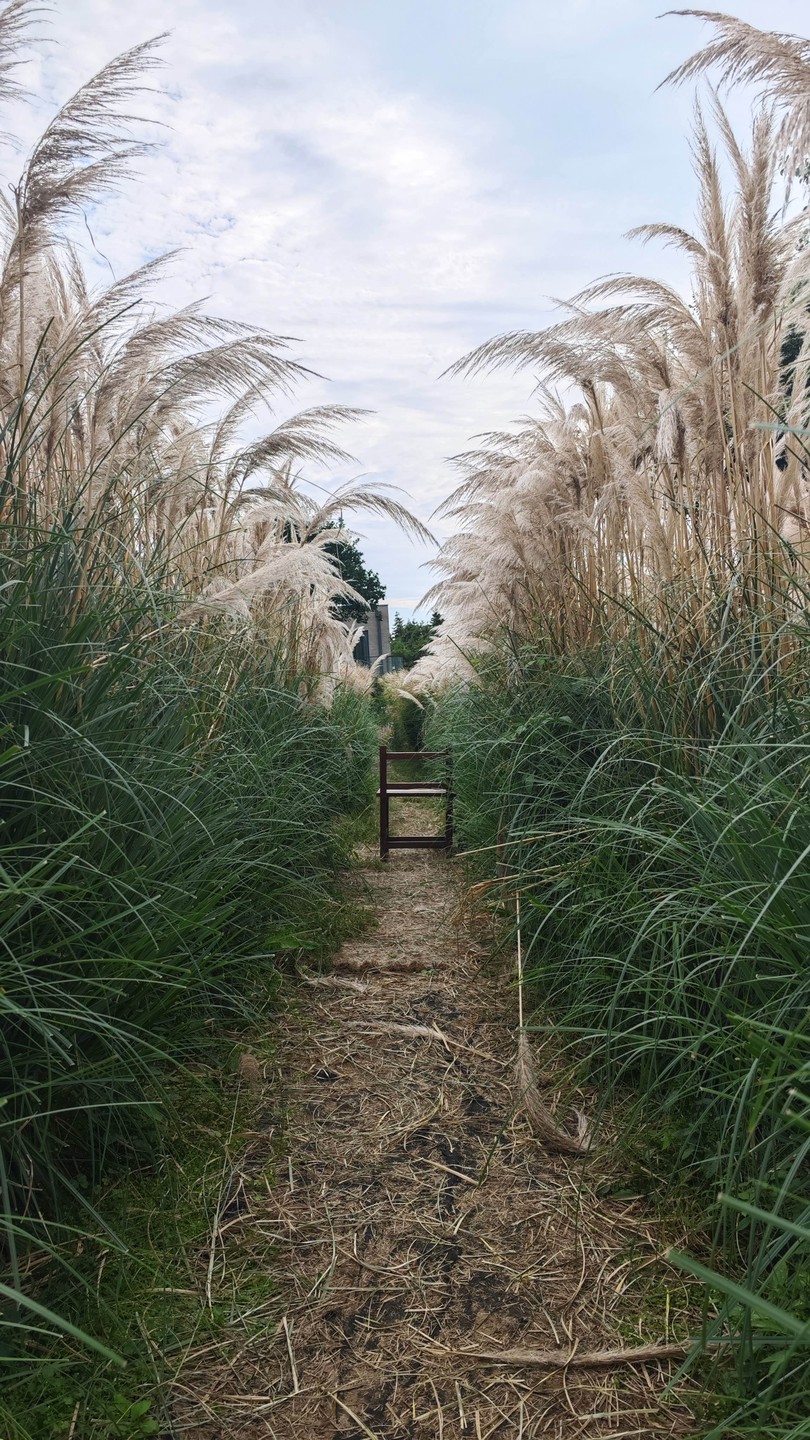 Чеджу - остров, куда хочется вернуться (Влада)