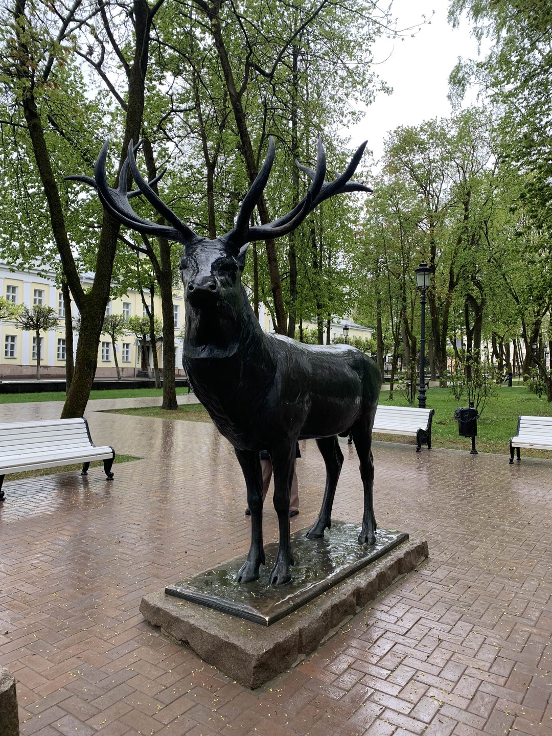 Однажды в Смоленске (Элла)