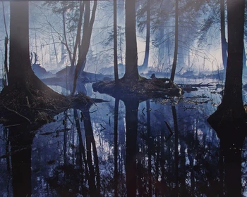 Окрестности Бреста и мини-поход по заповеднику