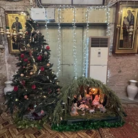 Фото отзыва 3: экскурсия "В сердце Абхазии из Нового Афона: Сухум + Черниговка + термальный источник"