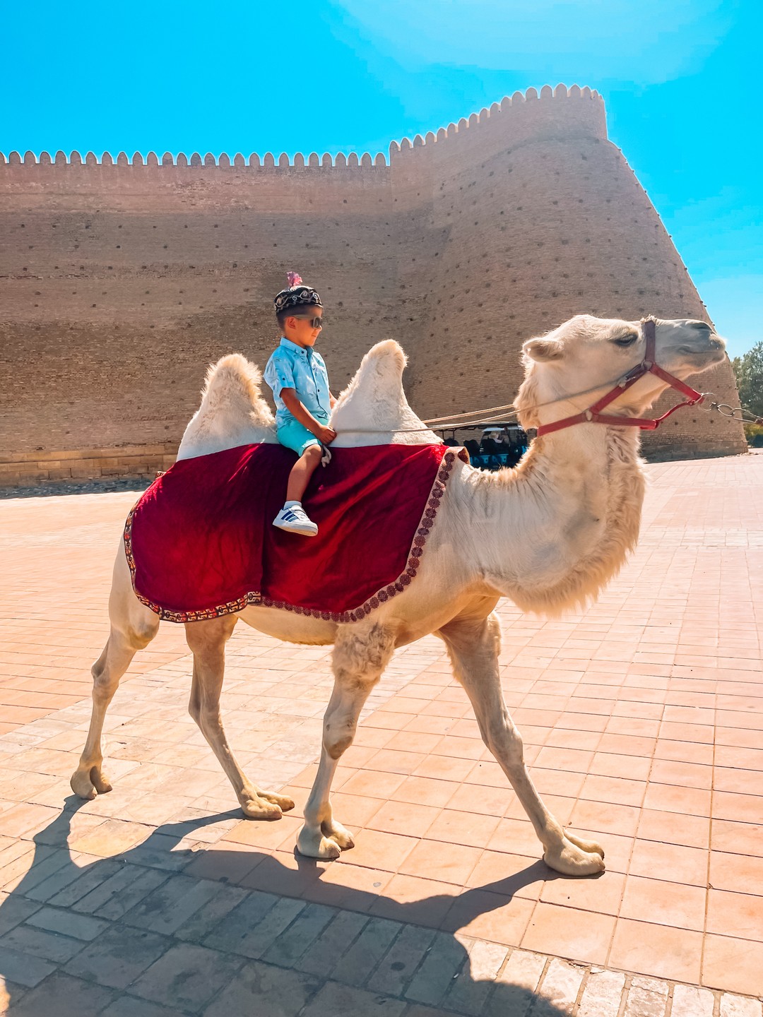 Ездили с сыном (4года) на данную экскурсию, остались в полном восторге, замечательный комфортный трансфер, потрясающая подача