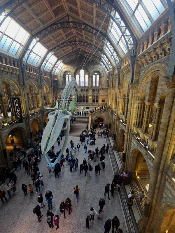 Тайная жизнь минералов: по залам Музея естественной истории в Лондоне