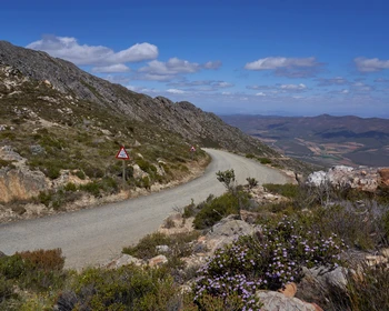 Оудсхорн - «страусиная столица мира»
