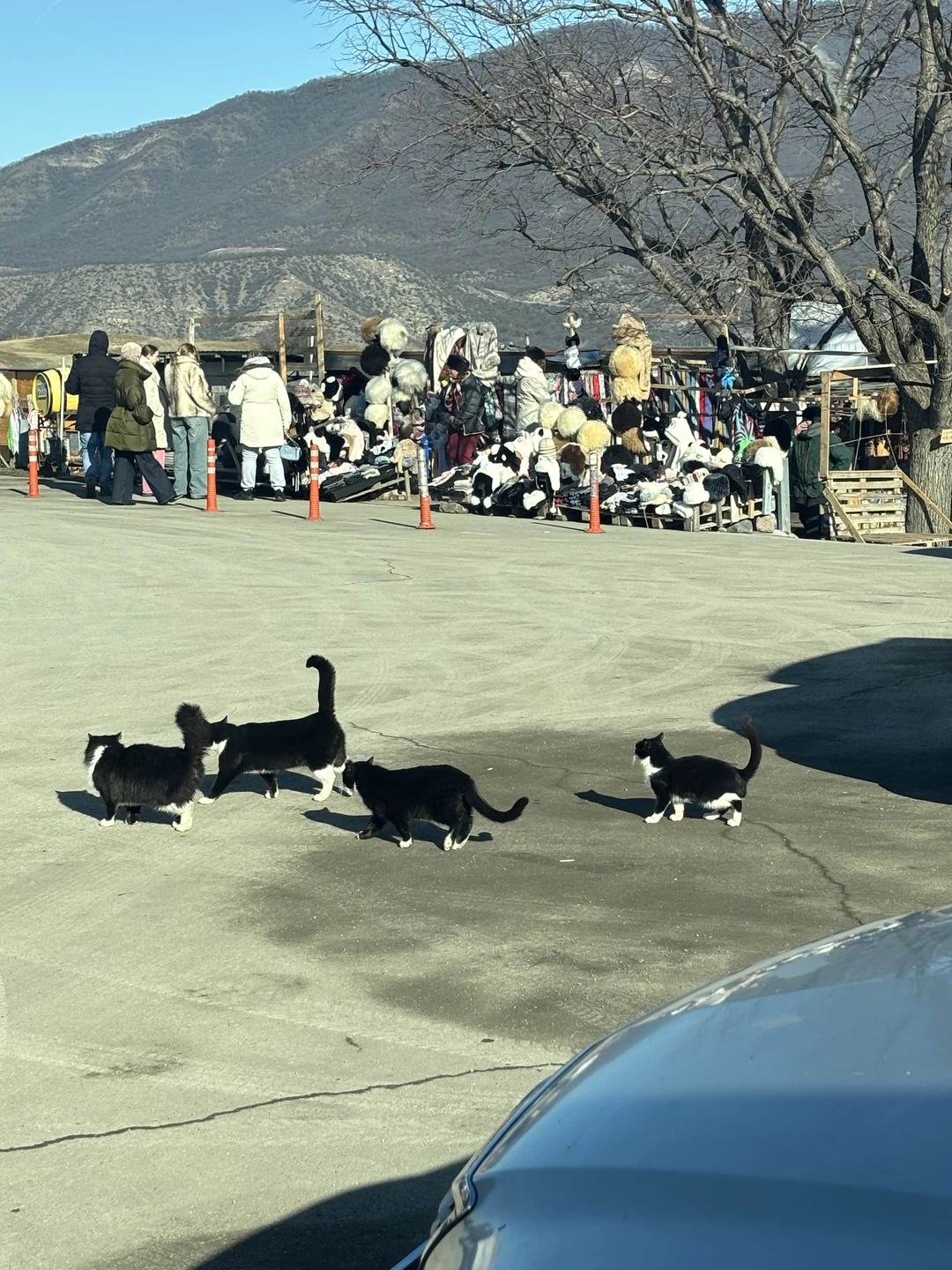 Святая Мцхета: экскурсия в небольшой группе (Саша)