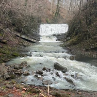 Фото отзыва 1: экскурсия "К Орлиным скалам из Сочи — на машине и пешком"