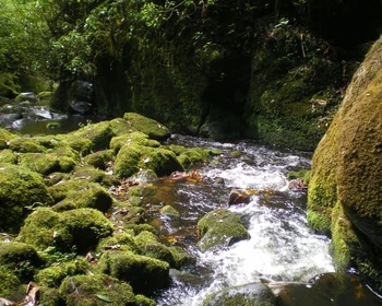 Национальный парк «Сан-Рафаэль»