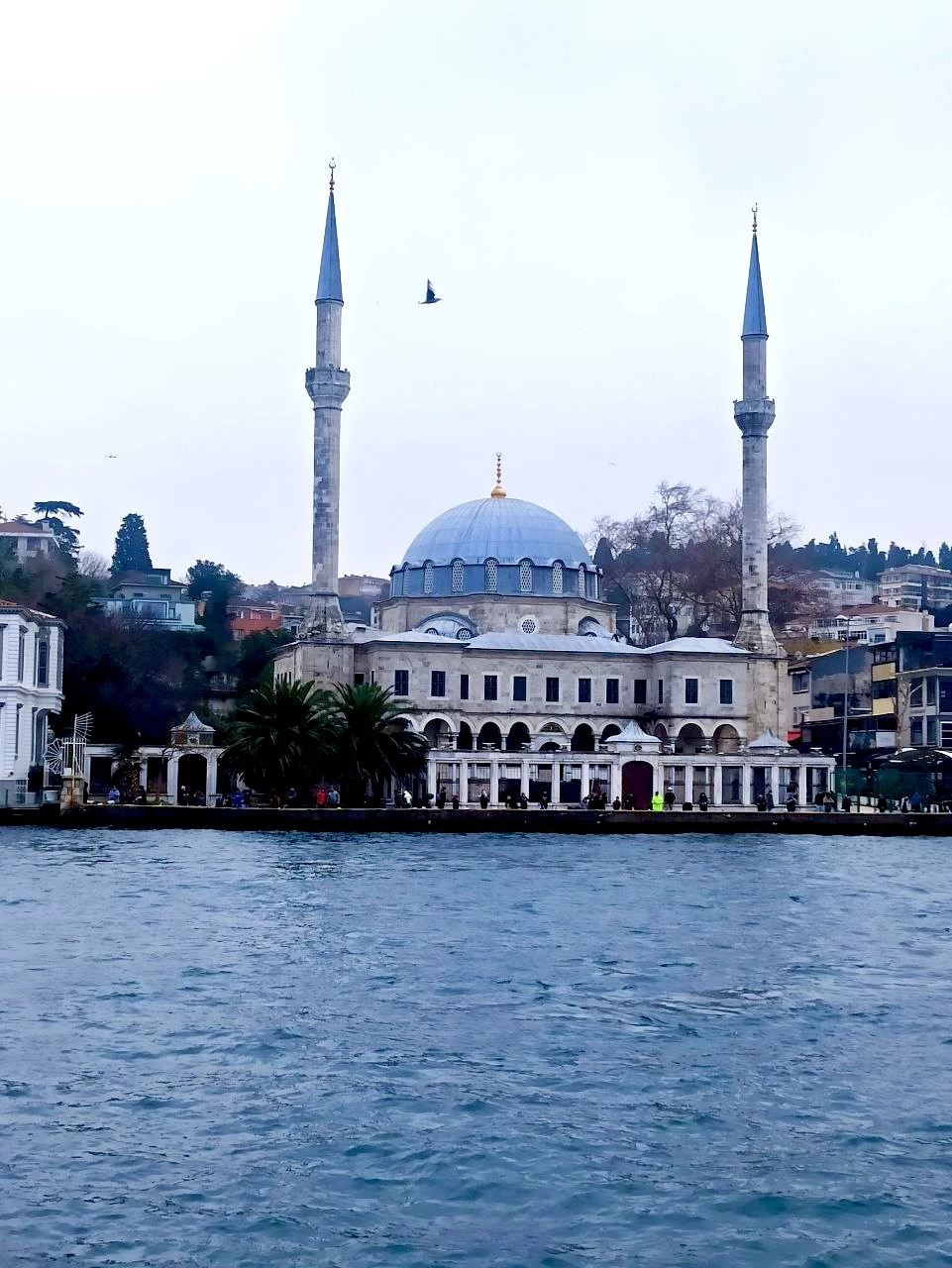 Отправляла родителей на эту экскурсию. Они остались очень довольны! Их забрали из отеля. Брала дневную экскурсию