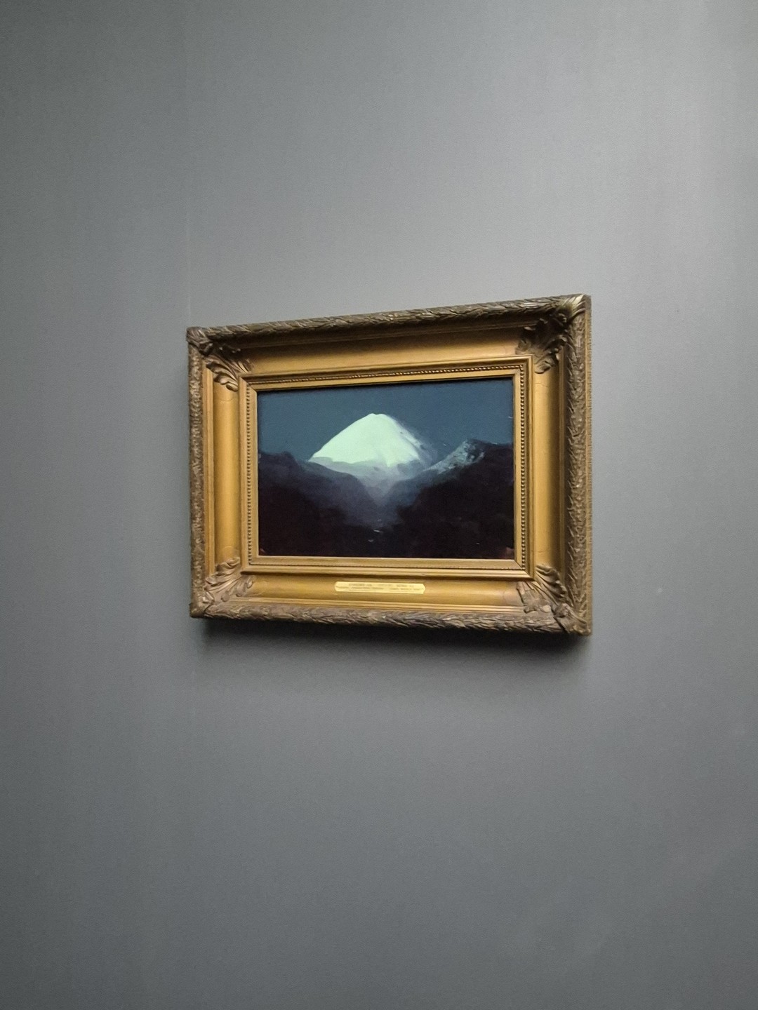 Спасибо Марии за отличную экскурсию по выставке Куинджи. 1 час пролетел как 10 минут. Было очень интересно и познавательно!