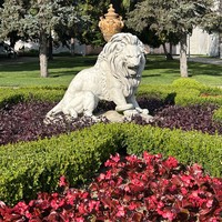 Фото отзыва 3: экскурсия "Европейская роскошь Стамбула: дворец Долмабахче и улица Истикляль"