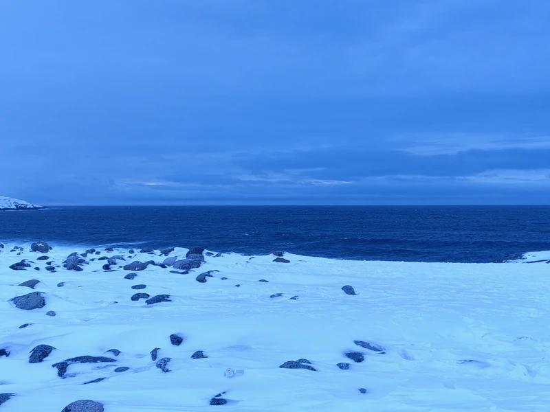 Артем был очень приятным и терпеливым. По дороге из Мурманска в Териберку он постоянно делился интересной