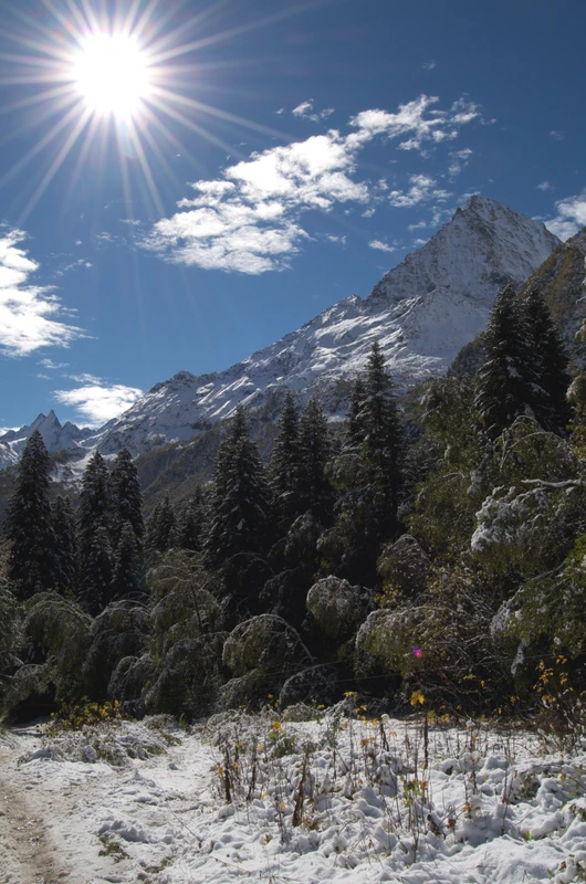 Заповедный Домбай: когда главное уже посмотрели