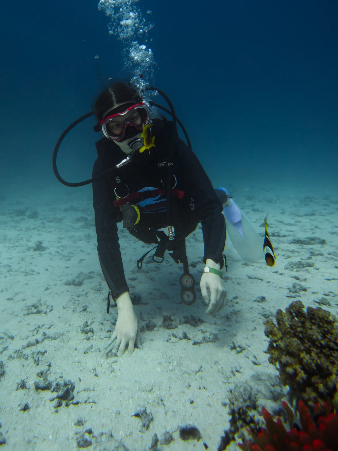 Вадим максимально комфортно познакомил нас с подводным миром и культурой дайвинга. Настолько трепетного подхода со стороны