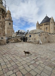 Фото отзыва 3: экскурсия "Прогулка по Иерусалиму: от царя Давида и до наших дней"