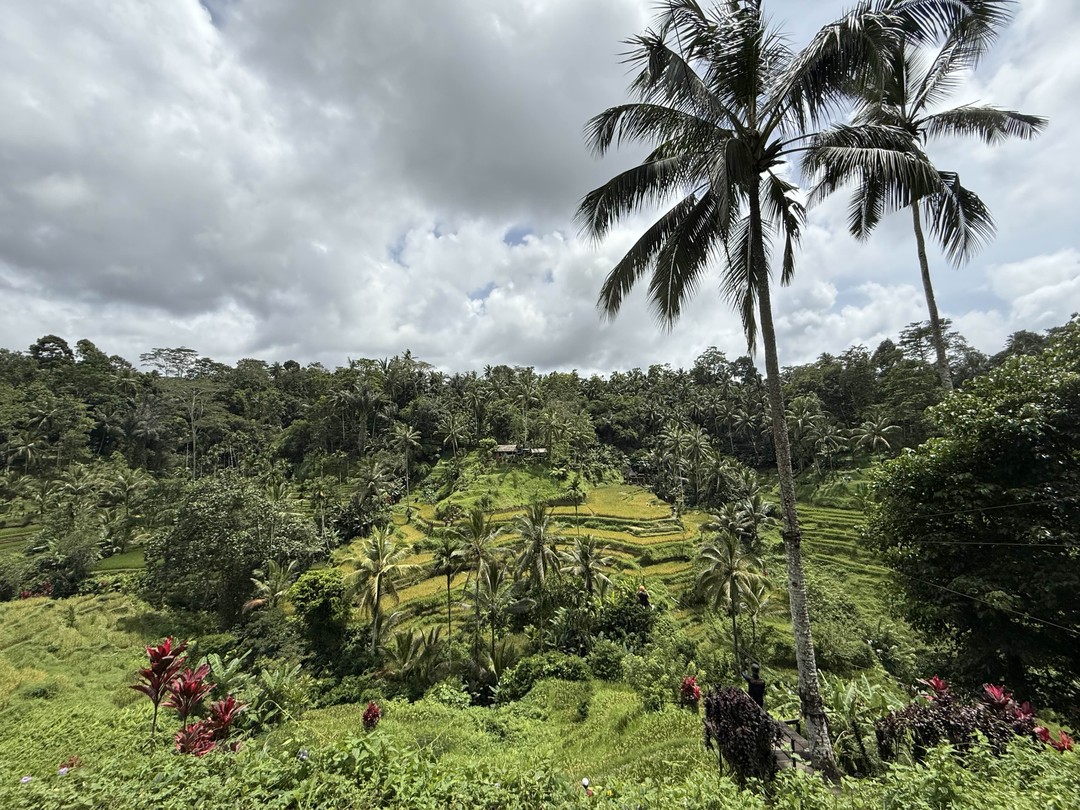 Отличная поездка и интересные, яркие и колоритные места!