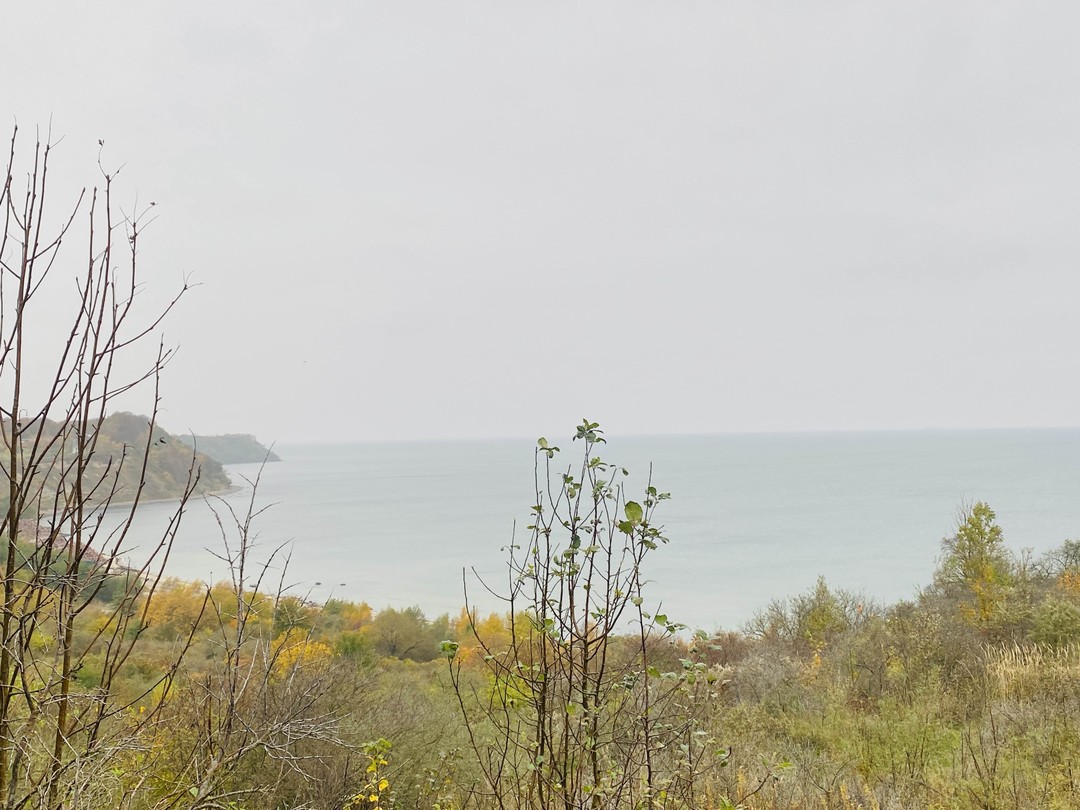 4 в 1: Балтийск, Янтарный, Филинская бухта и Светлогорск (Аветисова)