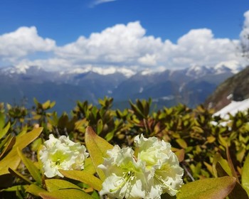 Красная Поляна, ущелья, «Роза Хутор»