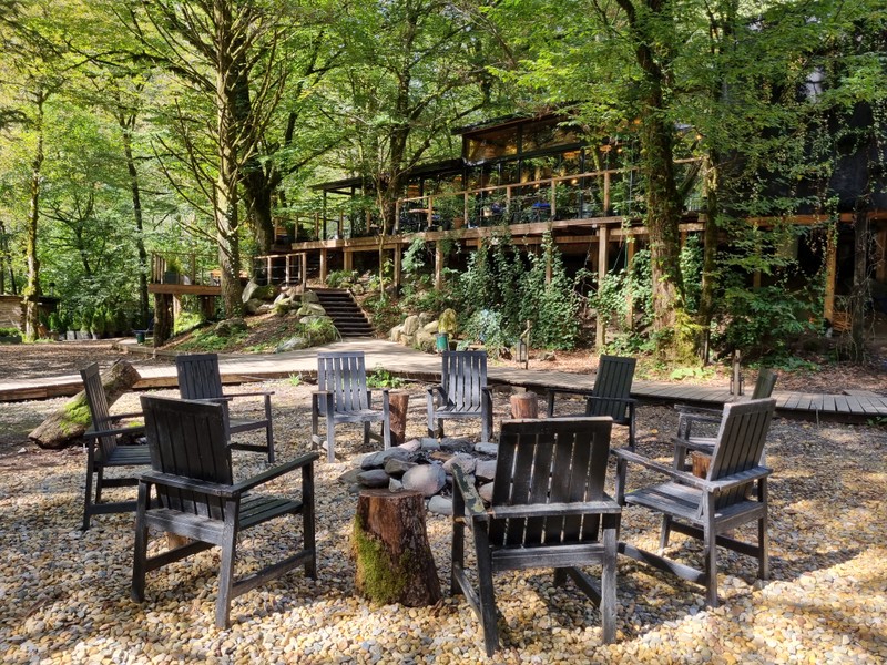 Виды Поедем, поедим! Гастротур из Адлера