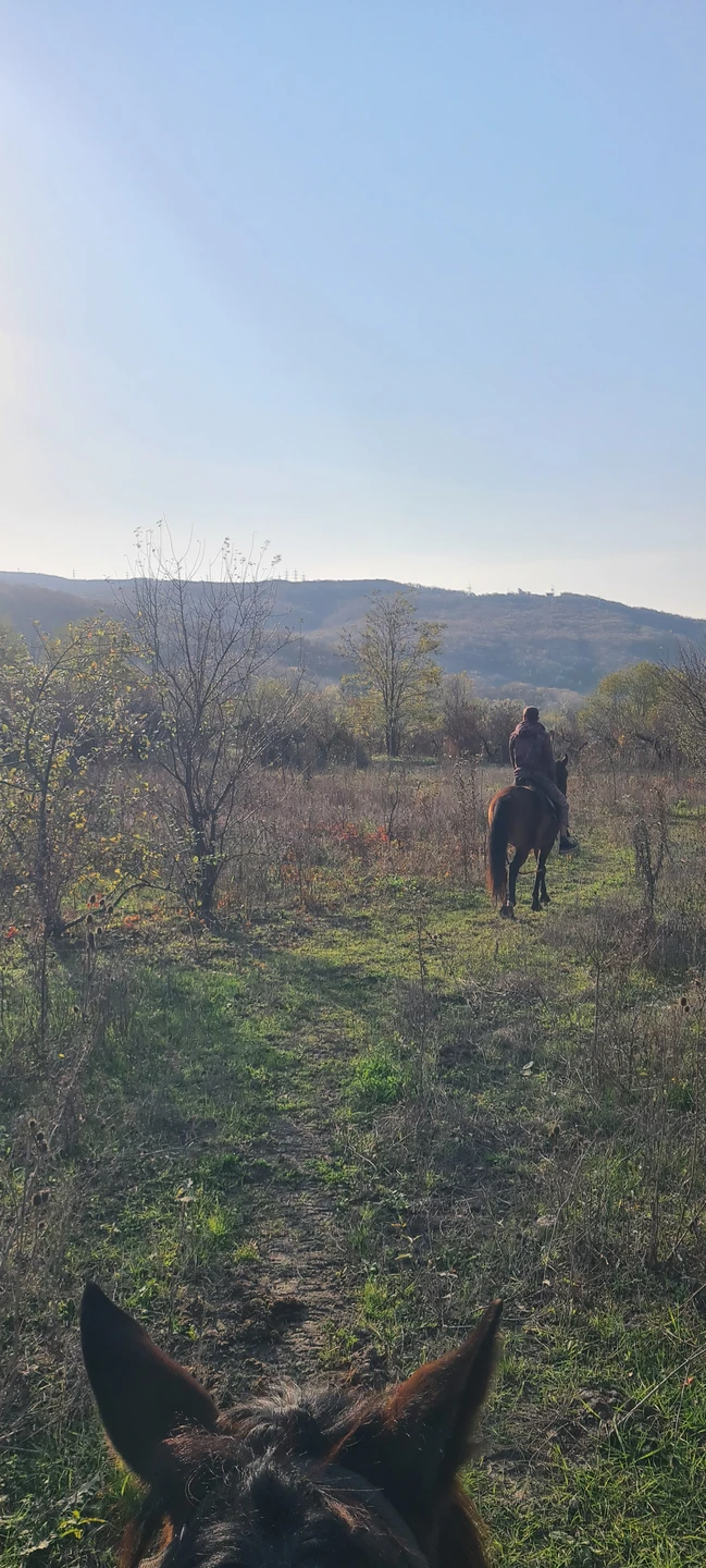 В маршруте предполагалось: озеро Грек, сосновые леса, цветущие луга и смотровая площадка в Дивноморском