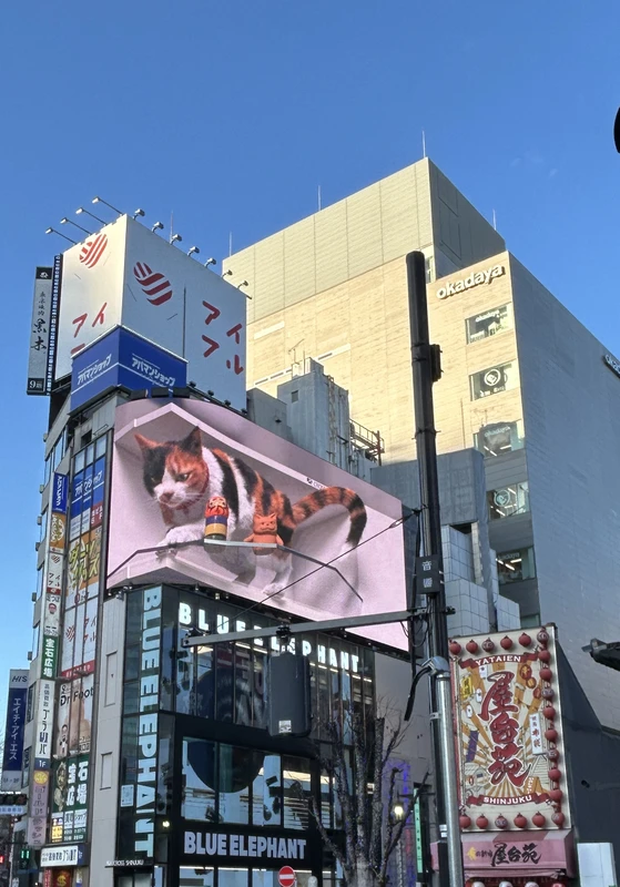 Лайфстайл-прогулка по Токио с местной жительницей