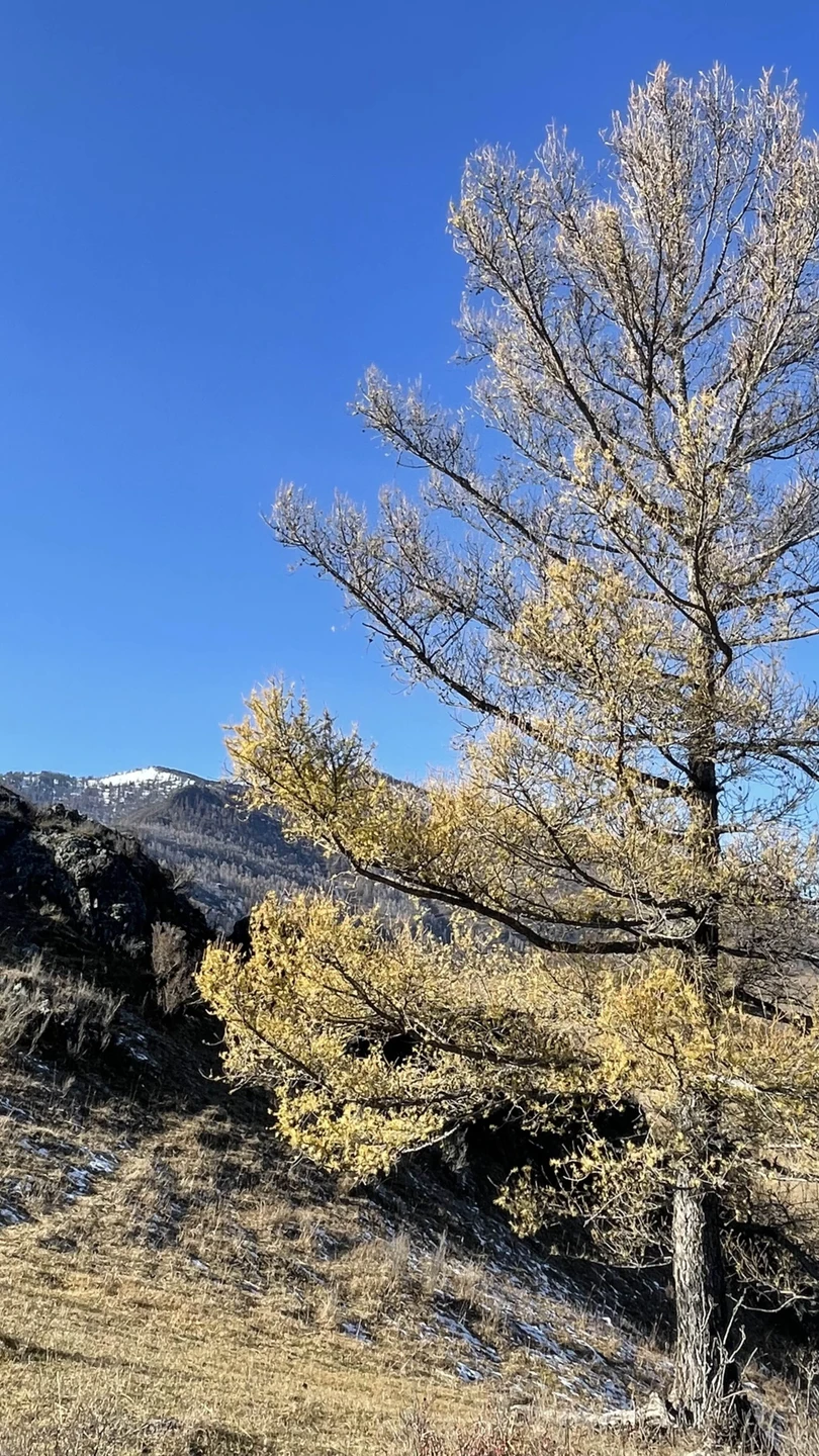 Если хочется в рамках одного тура охватить побольше локаций - вам сюда! Комфортная поездка, красивейшие места,