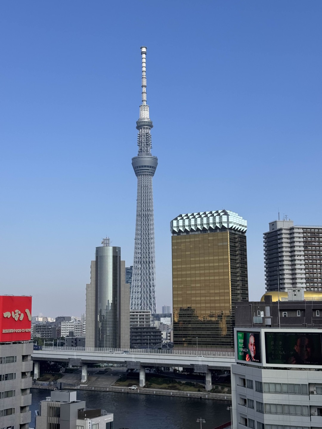 Первый день в Токио: обзорная экскурсия с фотосессией (Акмаль)