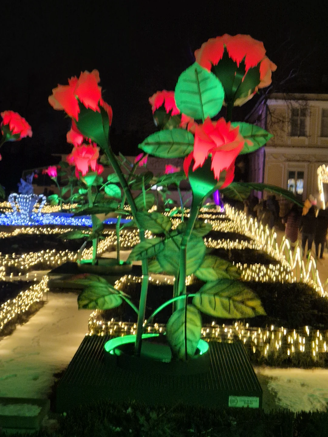 Экскурсия была замечательной. Я очень много узнала о истории Варшавы, посмотрела праздничное убранство города, великолепные световые