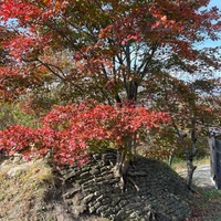 Фото отзыва 2: экскурсия "Топ-8 локаций острова Русский + мыс Тобизина на внедорожнике"