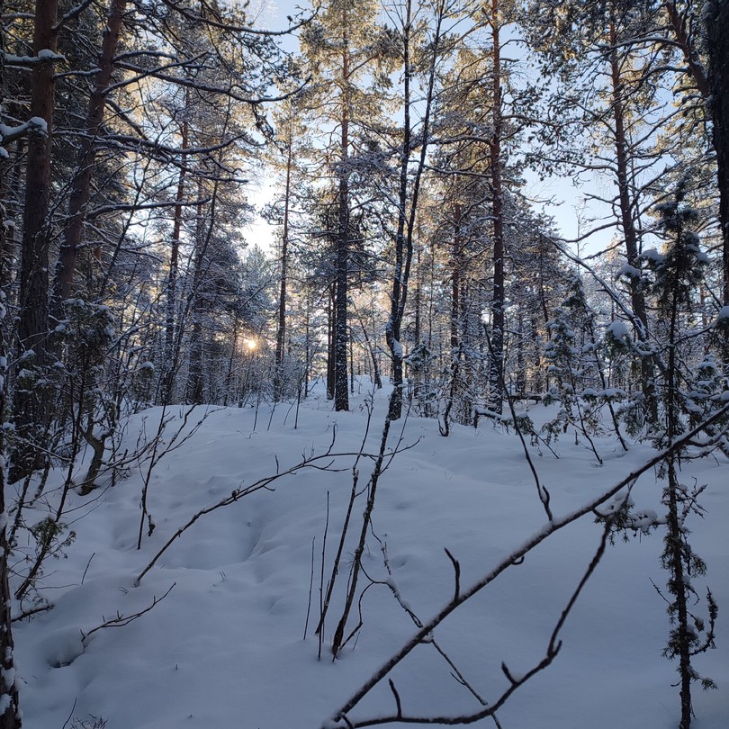 Были сегодня на экскурсии - все чудесно! Формат поездки не располагает к обширным историческим фактам, но