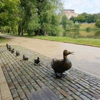 Фото отзыва 2: экскурсия "Классическая обзорная экскурсия по Москве на автобусе"