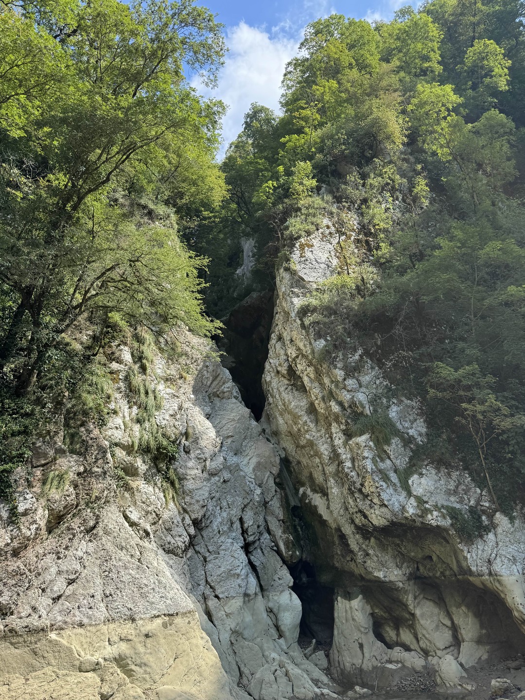 Елена, огромное спасибо за замечательную экскурсию к водопадам! Вы очень интересно и увлекательно рассказывали, создавая приятную