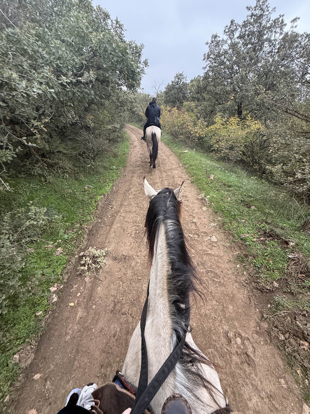 Это было прекрасно, Спасибо Тимуру за экскурсию🙏🏻