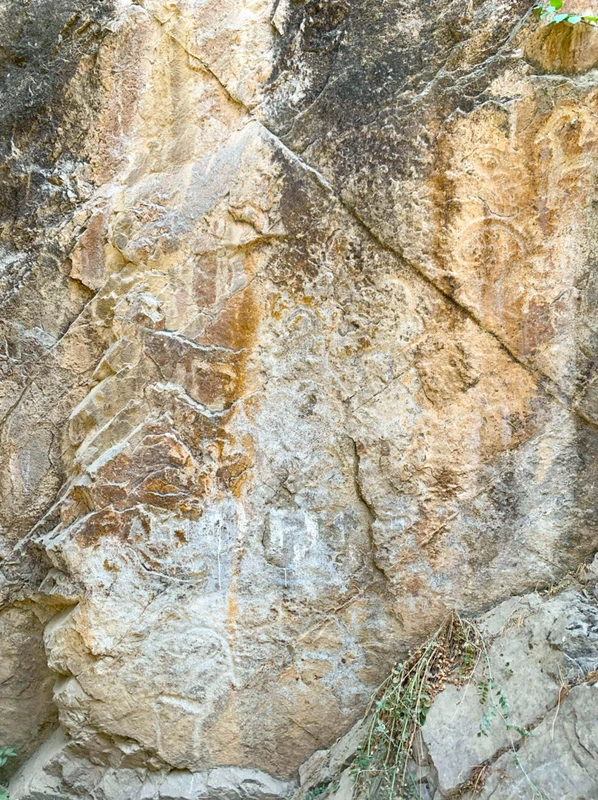 Из Ташкента - в гости к оленям, горам и легендам