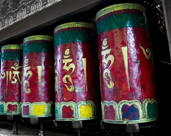 Кора в резиденции Далай-ламы