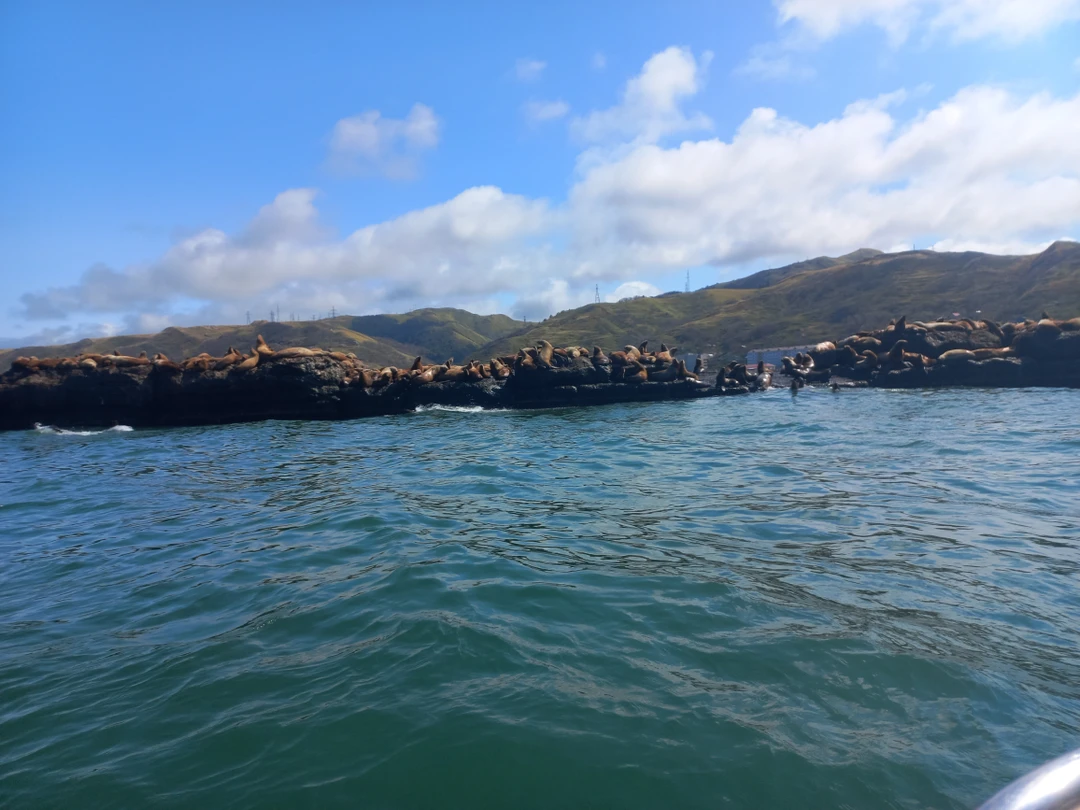 Экскурсия была прекрасная, потому что гид Дмитрий по настоящему любит свой край и очень много знает