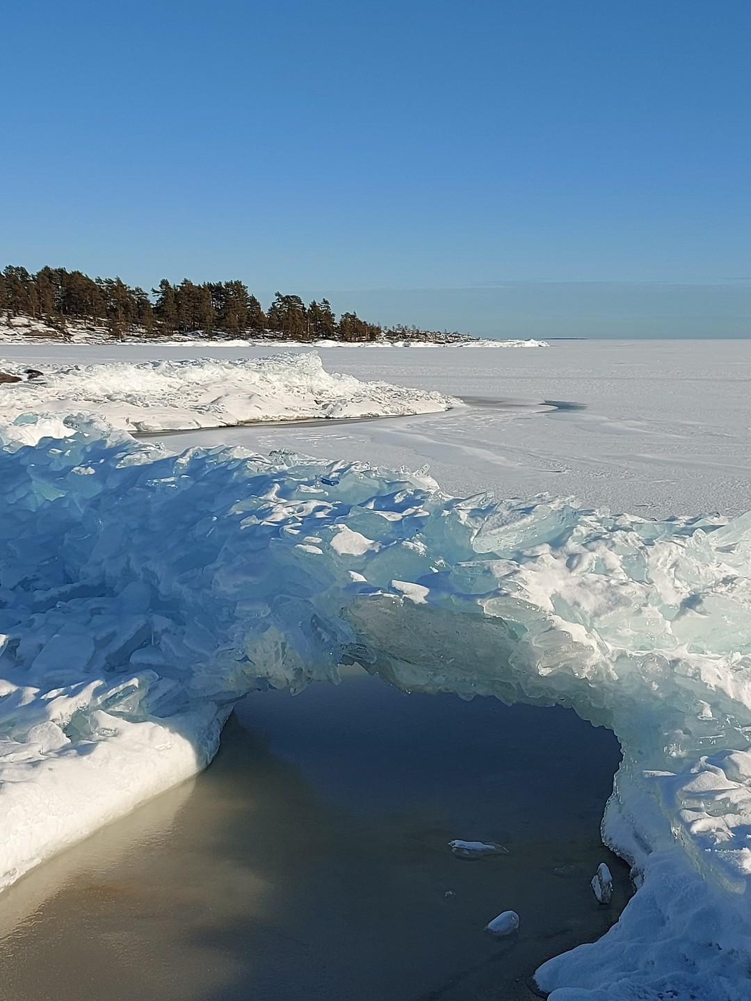Зимняя Ладога на аэролодке (Ольга)