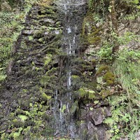 Фото отзыва 5: экскурсия "Сказочные водопады Красной Поляны"
