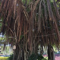 Фото отзыва 4: экскурсия ""