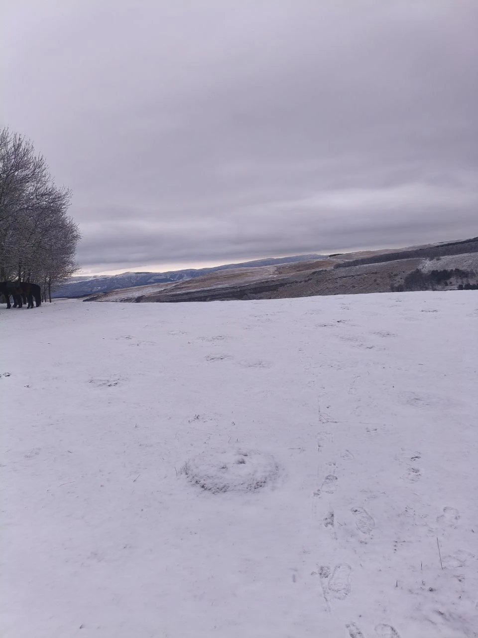 Начало февраля 2026 года ознаменовалось для нас поездкой в Кисловодск. Уже в первый день мы отправились