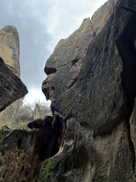 Замечательная экскурсия. Спасибо гиду Руслану за увлекательный рассказ!!!